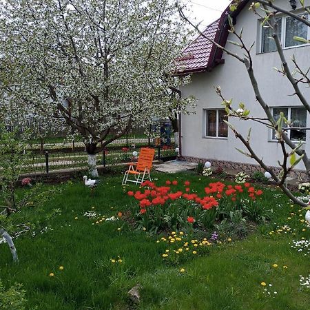 Casuta Bunicilor Villa Dorna Cindrenilor Екстериор снимка