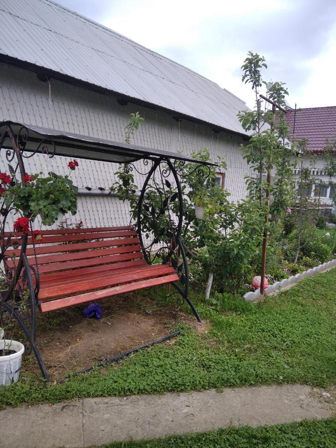 Casuta Bunicilor Villa Dorna Cindrenilor Екстериор снимка