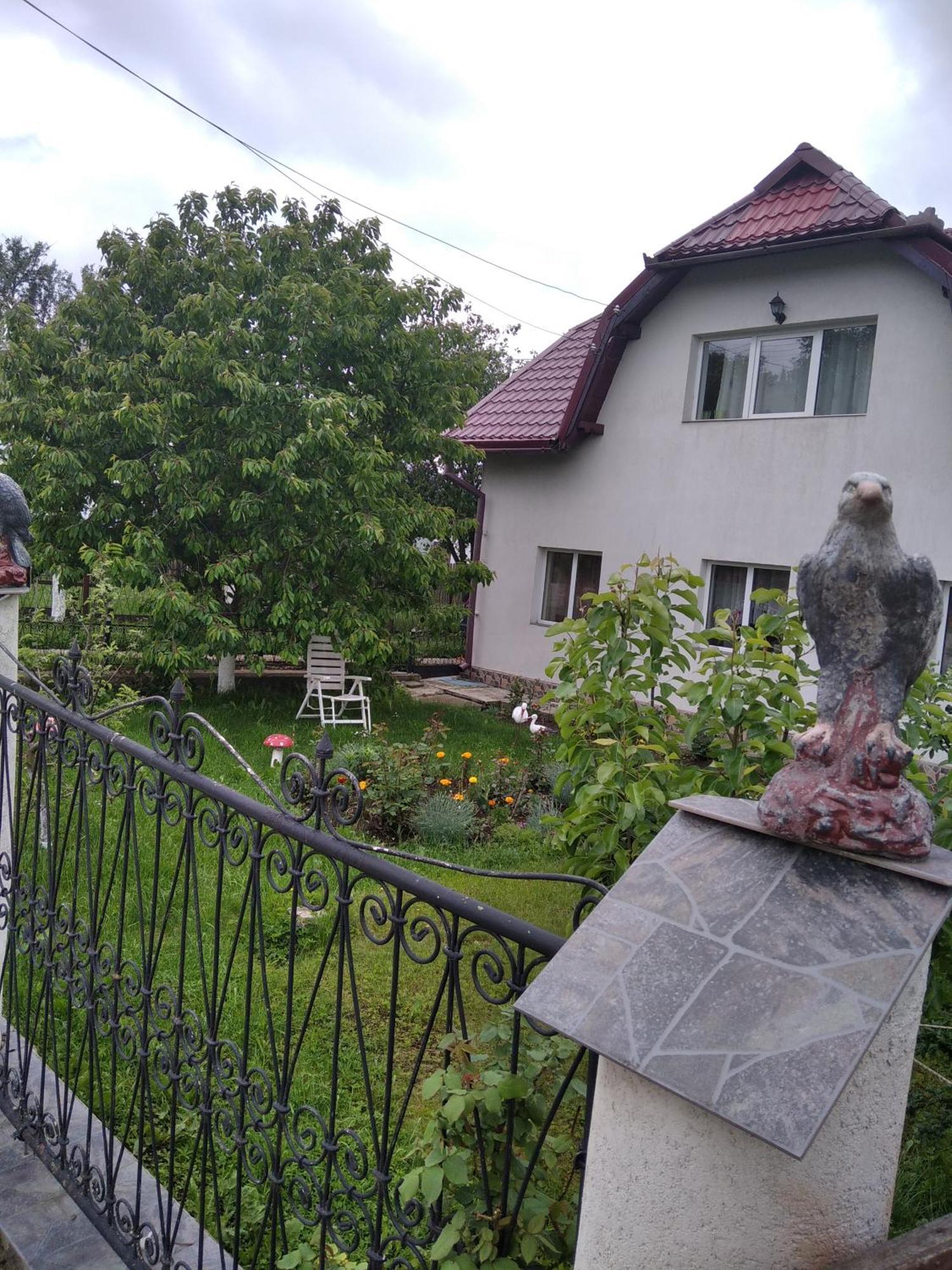 Casuta Bunicilor Villa Dorna Cindrenilor Екстериор снимка