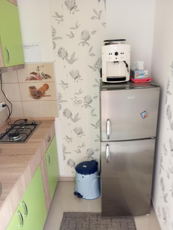 Casuta Bunicilor Villa Dorna Cindrenilor Екстериор снимка