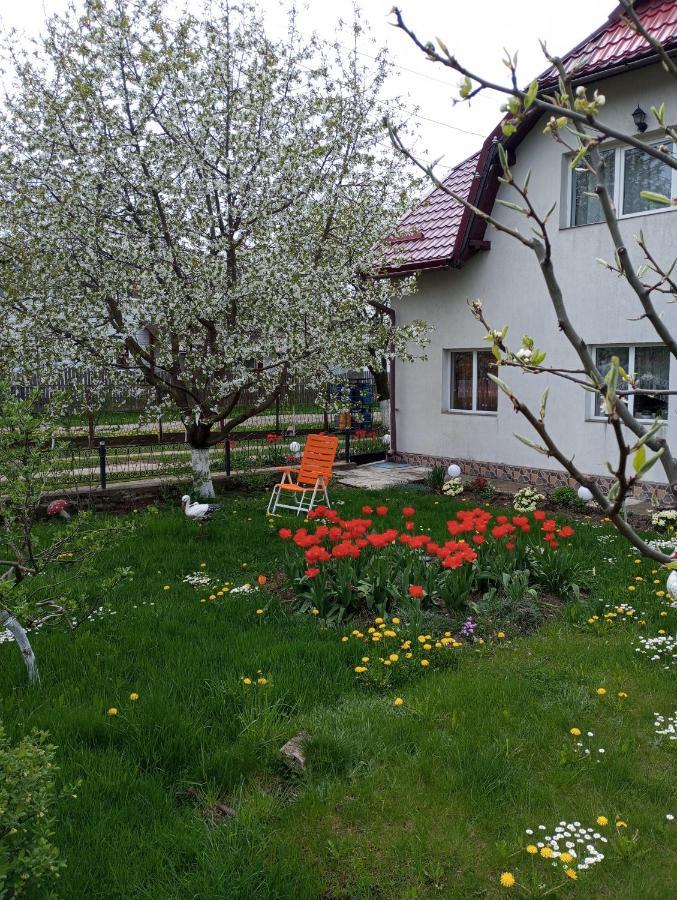 Casuta Bunicilor Villa Dorna Cindrenilor Екстериор снимка
