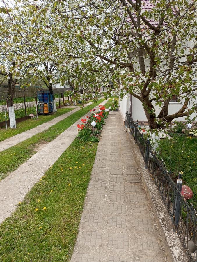Casuta Bunicilor Villa Dorna Cindrenilor Екстериор снимка