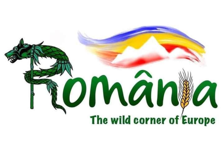 Casuta Bunicilor Villa Dorna Cindrenilor Екстериор снимка